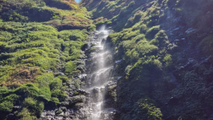 Air Terjun Semuncar: Pesona Tersembunyi dengan Keindahan Alam Alami